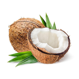 Coconut Meat