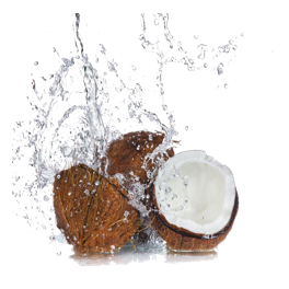 Coconut Water