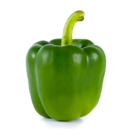 Green Bell Pepper