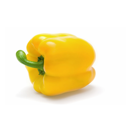 Yellow Bell Pepper